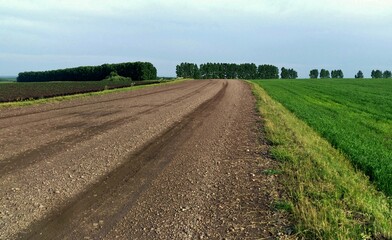 Fototapeta na wymiar plowed field in the morning