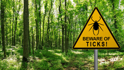 Warning sign beware of Ticks in infested area in the green forest 