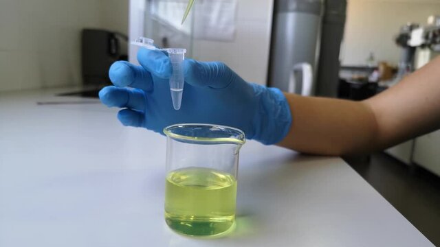 Lab technician using an electronic pipette to mix yellow solution in an eppendorf. Researcher and laboratory concepts.