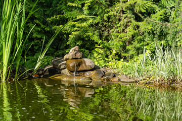 Naklejka na ściany i meble Magical garden pond with small waterfall on shore. Aquatic plants and evergreens growing along coast are reflected in water like in mirror. Atmosphere of relaxation, tranquility and happiness..
