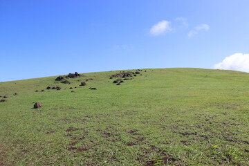 Colline à Orongo, île de Pâques