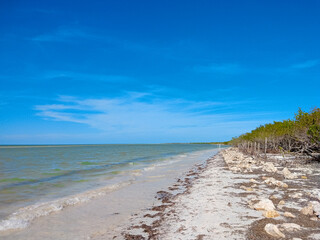 Fototapeta na wymiar Playa Paradise also called Playa Paraiso at dawn - beautiful tropical Caribbean coast in Tulum in Quintana Roo, Riviera Maya, Mexico