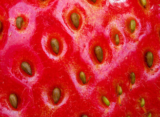 Juicy Strawberry close up view 