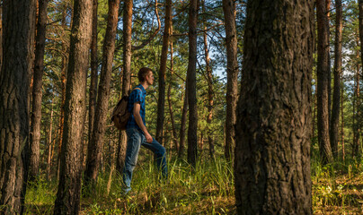 Naklejka na ściany i meble A young man in a blue plaid shirt and a backpack walks through the coniferous forest