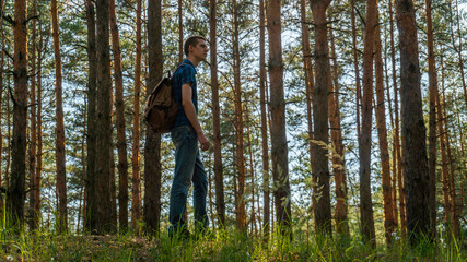 A young man in a blue plaid shirt and a backpack walks through the coniferous forest