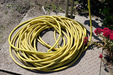 Gelber Gartenschlauch 