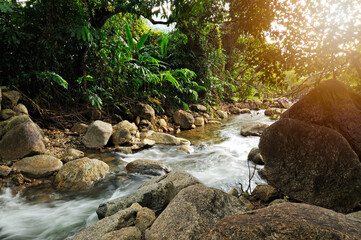 TA-PEE River is water that is the best value in 2016/ Khao Luang National Park, Phipun district,...