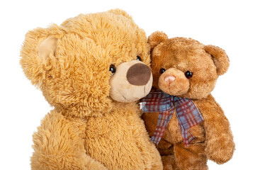 Teddy bear with little bear on white background.