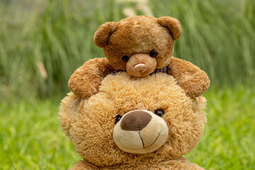 Teddy bear with little bear outdoors