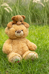 Teddy bear with little bear outdoors