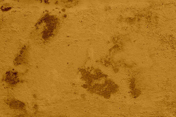 Sandy texture background. Top view of the sandy beach