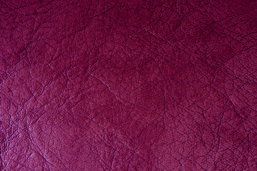 Fototapeta premium Purple leather texture. Purple pleated leather for text and design.