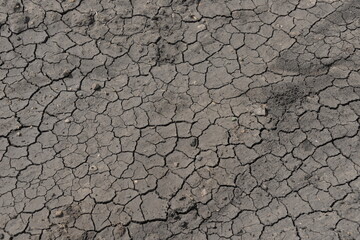 on a sultry day in summer the ground was cracked with heat and waterlessness