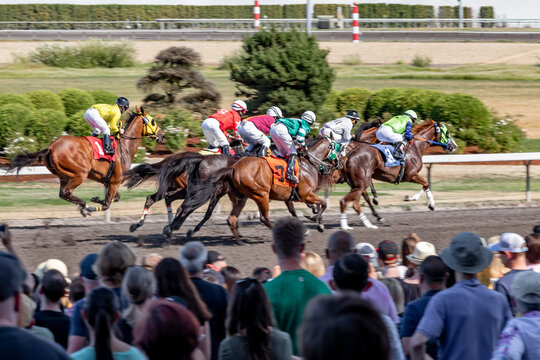 Horse racing at the race track