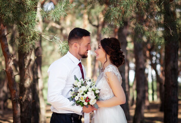  bride and groom  in the pine forest