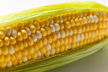 Yellow Corn Cob Closeup, Macro Shot on the white background
