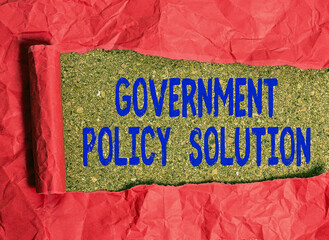 Conceptual hand writing showing Government Policy Solution. Concept meaning designed game plan...