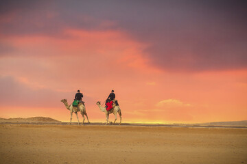 The Great Pyramids of Giza and beautiful sunsets