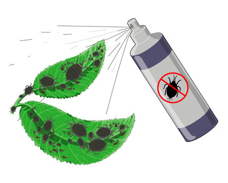 Aerosol Spray On Green Leaves With Aphids. Drawing Isolated On A White Background. Stock Vector Illustration.