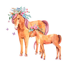 Watercolor floral horse illustration isolated on white background. Animal kids natural collection