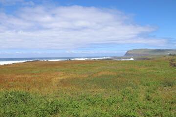 Prairie à l'île de Pâques