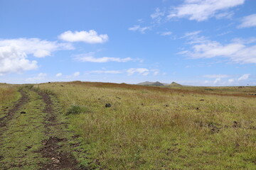 Fototapeta premium Chemin de prairie à l'île de Pâques