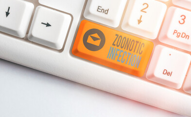 Handwriting text writing Zoonotic Infection. Conceptual photo communicable disease transmitted by a...