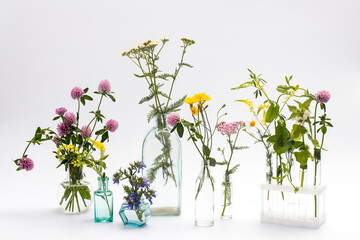 Wild field herbs in bottles of different shapes on a white-gray background as a decoration. Card