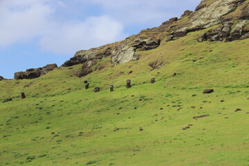 Fototapeta premium Moaïs sur la pente du volcan Rano Raraku à l'île de Pâques