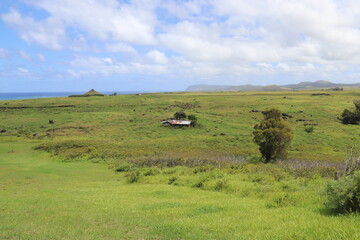 Prairie à l'île de Pâques