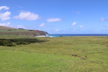 Fototapeta premium Prairie et littoral à l'île de Pâques