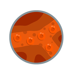 Vessels and arteries under microscope. Red Blood cells in canal. Enlarged view. The medical scheme. Internal human system. Scientific flat illustration