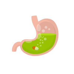 Stomach and pill. Dissolving drug. Disease of human internal organ. Cartoon flat illustration. Taking medicine. Medical care. Pain in belly. Capsule and digestion. Oral preparation application