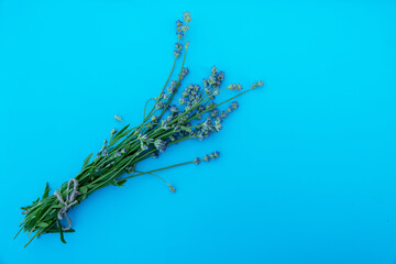 bundle of lavender flowers isolated on blue background