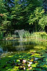 Evergreen landscaped garden with garden pond. Cascading fountain is central to pond. Aquatic and evergreen plants are reflected in green water. Atmosphere of calm and happiness.