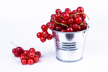 Sweet red currant in little metal decorative bucket on white background.