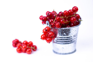 Sweet red currant in little metal decorative bucket on white background.