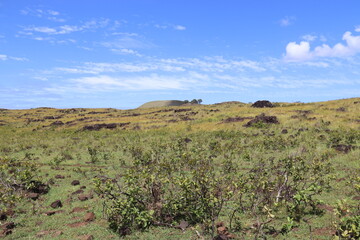 Prairie à l'île de Pâques