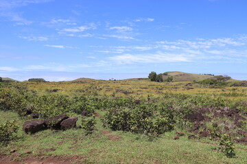 Prairie à l'île de Pâques