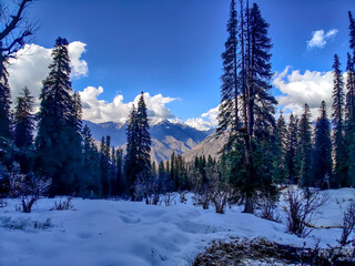 Fototapeta na wymiar winter in the mountains Himachal Pradesh india