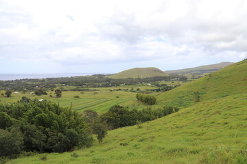 Fototapeta premium Champs et prairies à l'île de Pâques 
