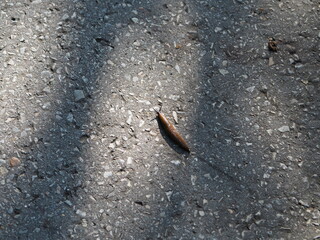 Nackt auf der Straße