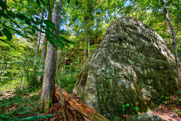 large stone outcrop in forest