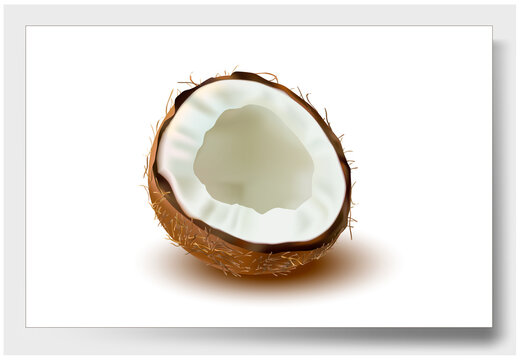 3 d. Ripe Coconut with white flesh on a White background. Isolated Coconut Half. Vector image.