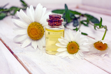 Obraz na płótnie Canvas Chamomile essential oil in a transparent bottle, next to chamomile flowers on a wooden light background, copy space