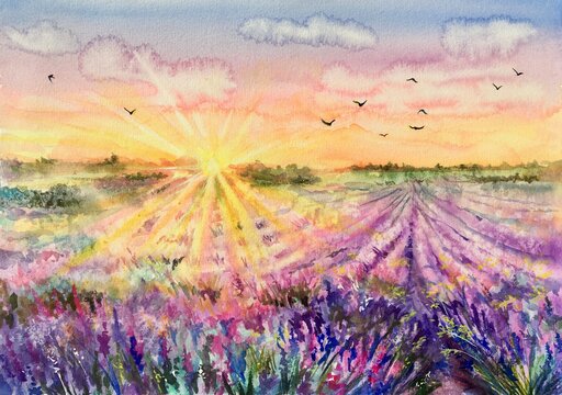 Watercolor lavender field. Sunset lavender field. Violet background. France Provence. Spring summer postcard banner. Fragrant flowers. Aroma. © El_Art