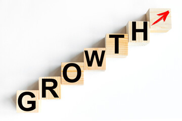 word growth. enlarge the concept. on wooden cubes on a white background.