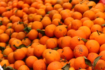 Oranges 