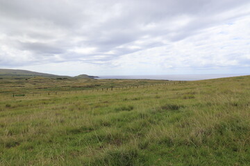 Prairie à l'île de Pâques