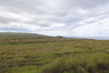 Prairie à l'île de Pâques